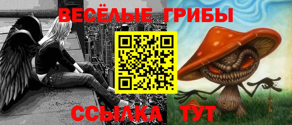 Псилоцибиновые грибы мицелий  Галлюциногенные грибы Cubensis  Вышний Волочёк  Вход с VPN 